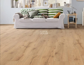 Haro Tritty 100 Campus 4V АЛЬПИЙСКИЙ ДУБ НАТУРАЛЬНЫЙ 532063 фото 3 | FLOORDEALER